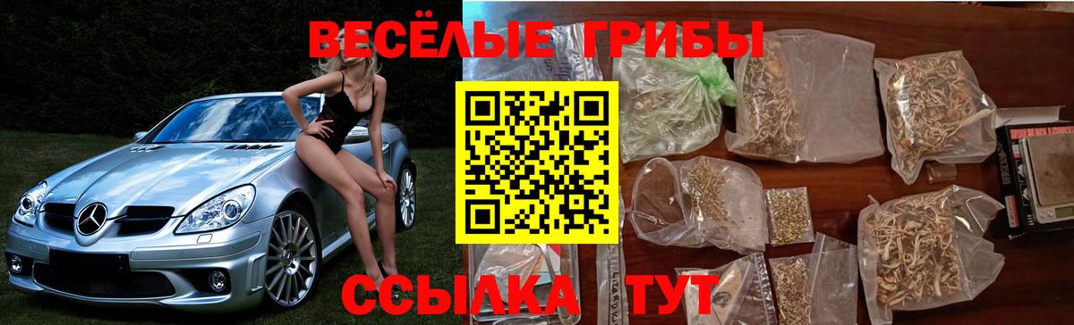 Галлюциногенные грибы мухоморы Асбест
